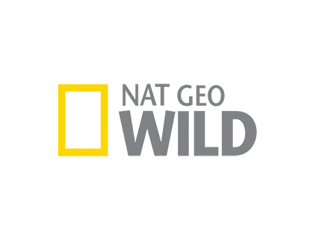 National Geographic Wild logo