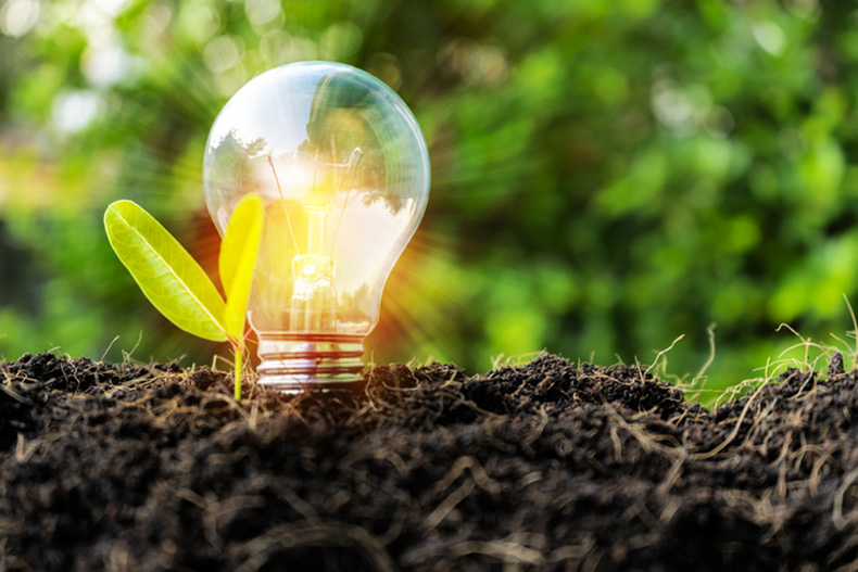 Environmental Sustainability